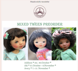 Meadowdolls:​Tween Dolls Pre-order Started – Several Options