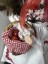 ​Little Red Riding Hood 13