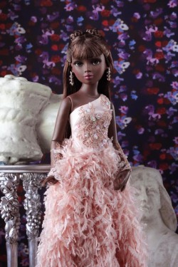 Neema: Intriguing Pictures of New Doll by Tonner