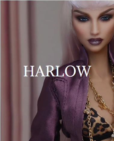 Kingdom Doll Presented Gorgeous Doll Sale Starts Soon DollFan.club